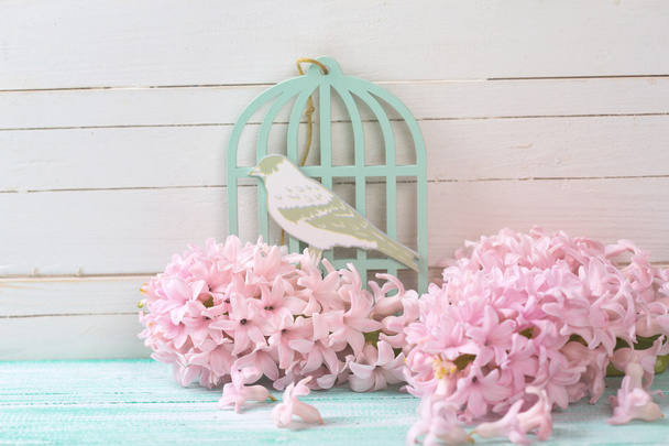 Postcard with fresh flowers hyacynths  and bird  - Φωτογραφία, εικόνα
