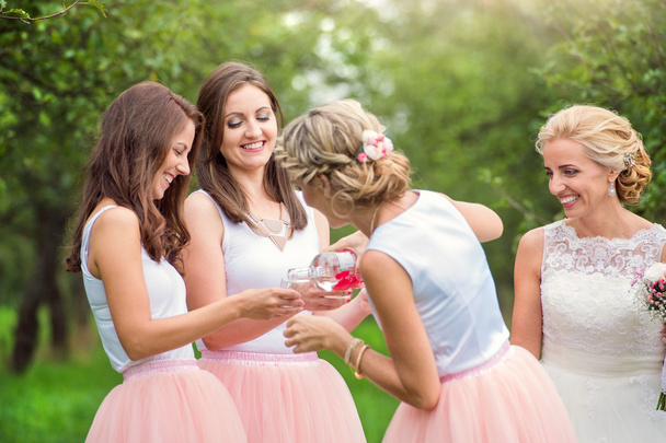 Bride with bridesmaids on wedding - Foto, afbeelding