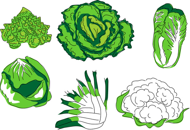 ensemble de légumes - Vecteur, image