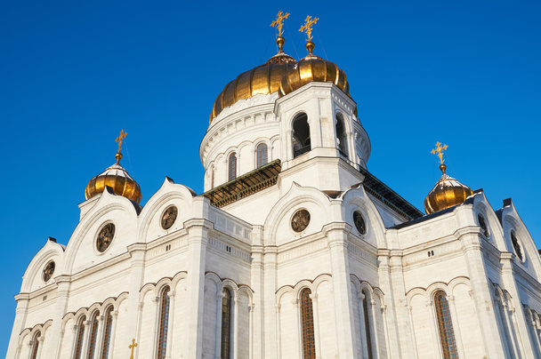 Cathedral of Christ the Savior. Moscow - Фото, зображення