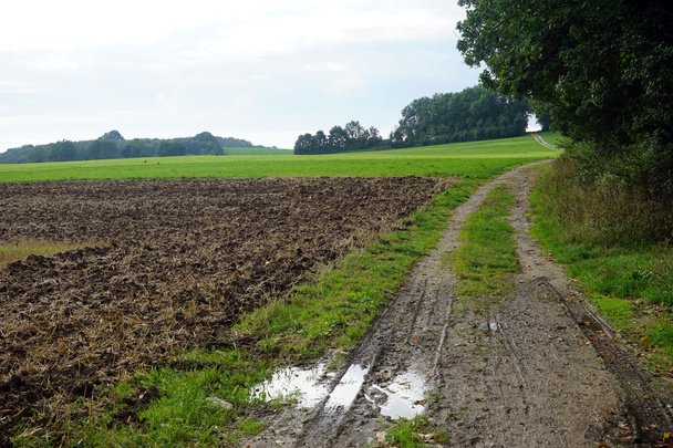 Plowed land and track near forest edge - Фото, зображення