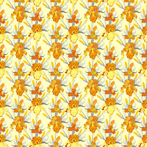 Yellow iris flower seamless pattern background. - Vector, Image