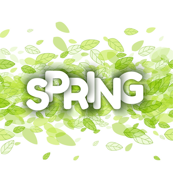 White spring sign over green leaves - Vecteur, image