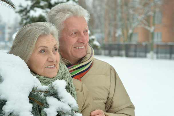 senior couple at winter outdoors - Zdjęcie, obraz