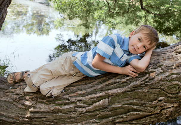 Boy lies on a tree in the park - Фото, зображення