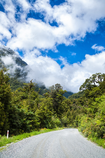 Tie Fiordlandin kansallispuistossa Uudessa-Seelannissa
 - Valokuva, kuva