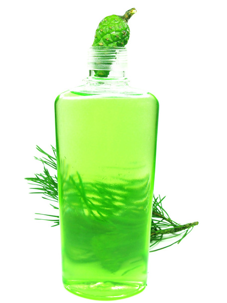 Herbal shampoo bottle with fir essence - Valokuva, kuva