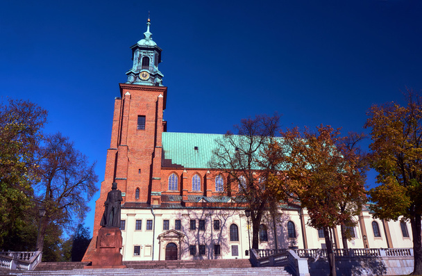 Statue and cathedral church in Gniezno - Photo, Image