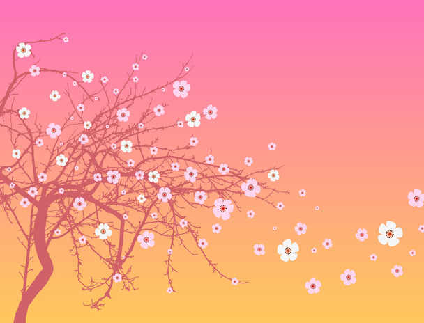 Sakura-Blüte - Vektor, Bild