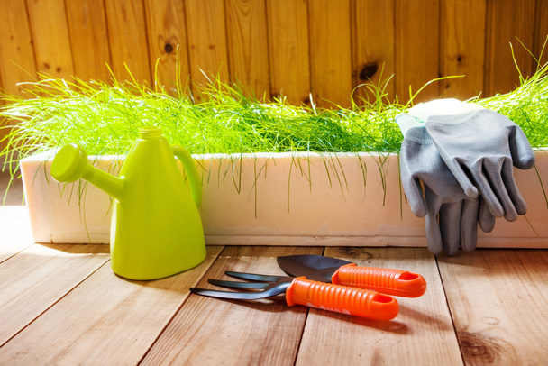 gardening tools and grass - Foto, Imagen