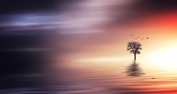 Värikäs iltataivas ja puita järvellä
 - Valokuva, kuva