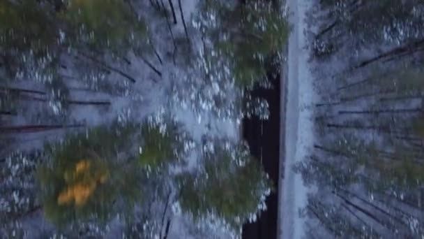 Letecký výhled 4K shora. Po dvouproudové silnici s jedoucími auty uprostřed zimního lesa se zasněženými vrcholky stromů ozářenými sluncem při západu slunce nebo při východu slunce, kamera vstává a otáčí - Záběry, video