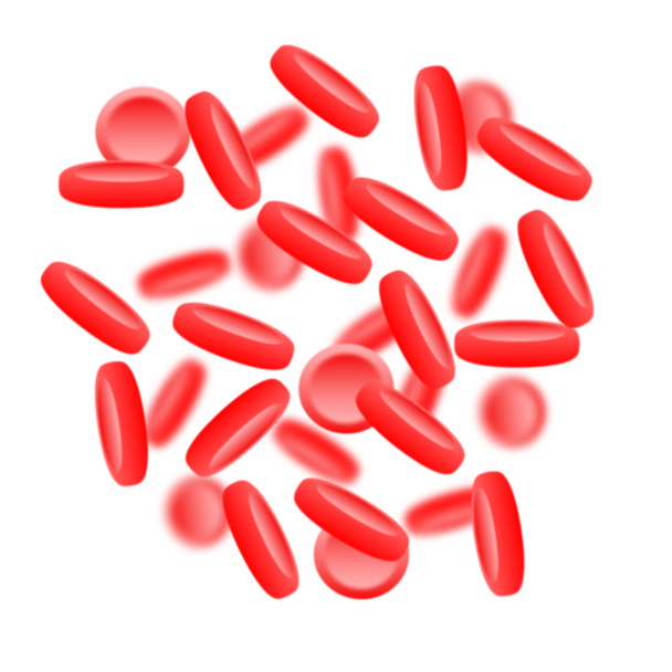Rote Blutkörperchen (Erythrozyten) in der Aorta, hohes Cholesterin - Foto, Bild