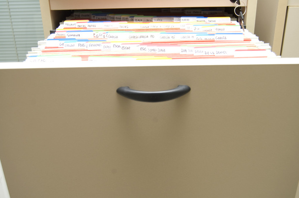 Filing cabinet with folders arranged - Photo, Image