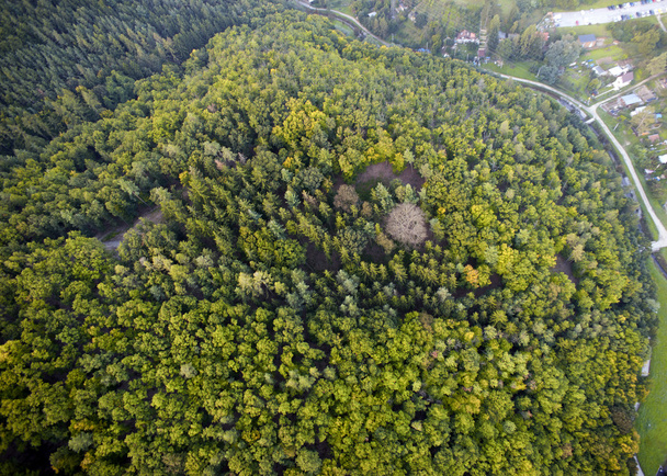 Vista aérea del bosque denso, Brno, República Checa
 - Foto, imagen