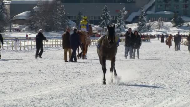 白 Turfin ザンクト ・ モリッツで競馬の欧州選手権 - 映像、動画