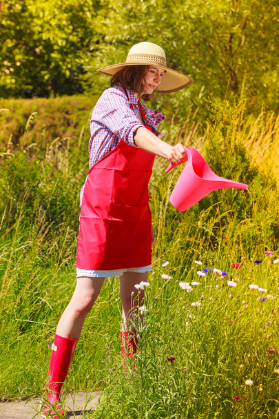 woman watering plants in garden - Photo, image
