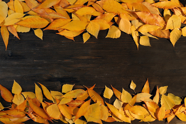 őszi levelek háttér - Fotó, kép