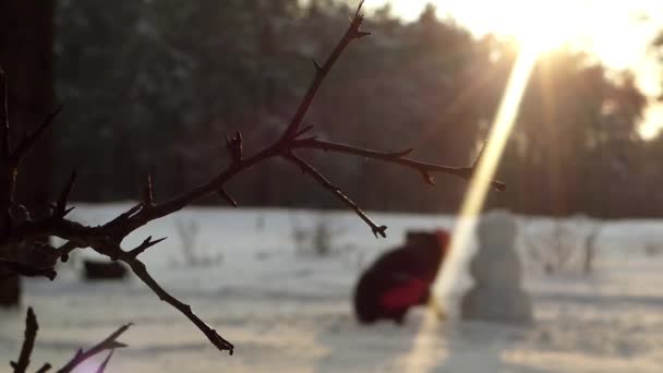 A lány teszi hóember télen az erdőben. Fókuszban. - Felvétel, videó