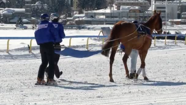 Il Campionato Europeo di Equitazione sulla Turfin Bianca Sankt Moritz
 - Filmati, video