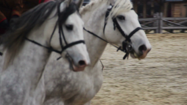Cavaliers démontrer des compétences à cheval au festival, musée historique en plein air
 - Séquence, vidéo