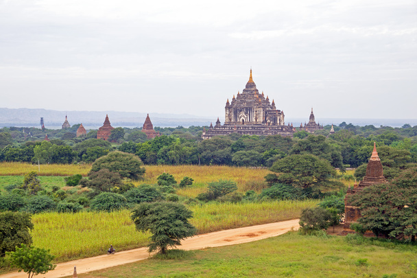Многие древние пагоды в ландшафте из Багана в Мьянме
 - Фото, изображение