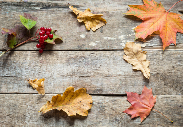 Autumn leaves on a wooden background - Foto, Imagen