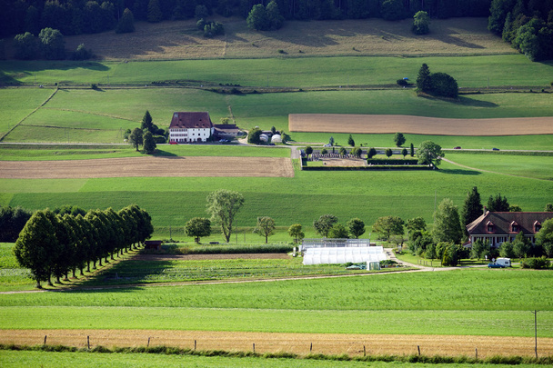 Green valley in Switzerland - Valokuva, kuva