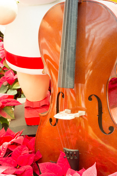 Vanha viulu punainen joulutähti lehtiä taustalla
 - Valokuva, kuva