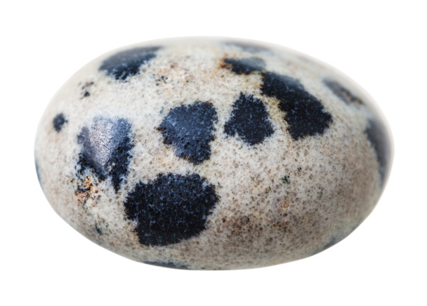 espécimen de jaspe dálmata (piedra dálmata
) - Foto, Imagen