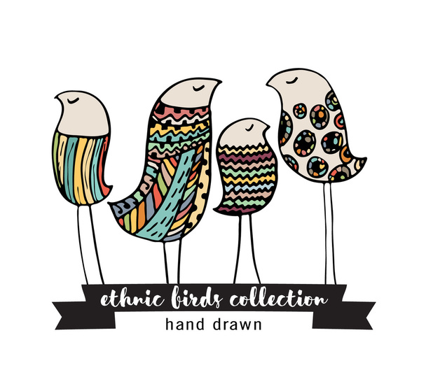 Коллекция этнических птиц. Руки drawn Векторные птицы с черным контуром. Изолированные на белом фоне - Вектор,изображение