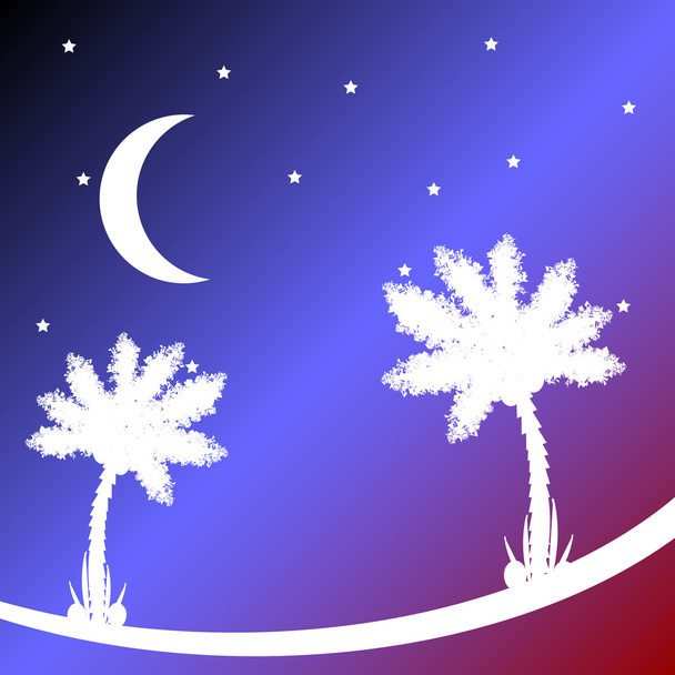 Palm tree at night. - Vektor, kép
