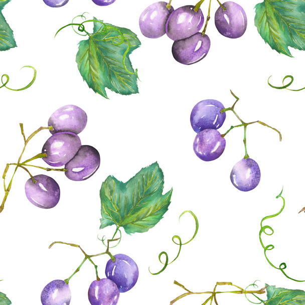 A seamless pattern with the watercolor blue (violet) grapes. Painted hand-drawn in a watercolor on a white background. - Fotó, kép
