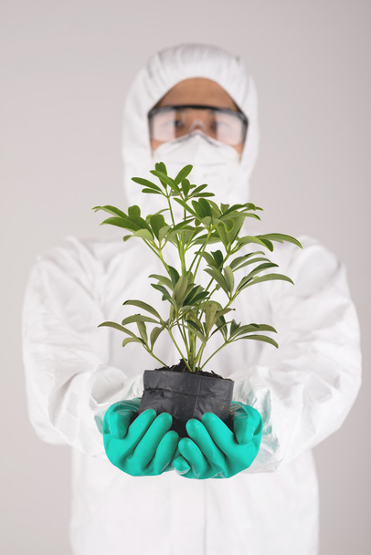 Scientist holding a plant - Foto, Imagen