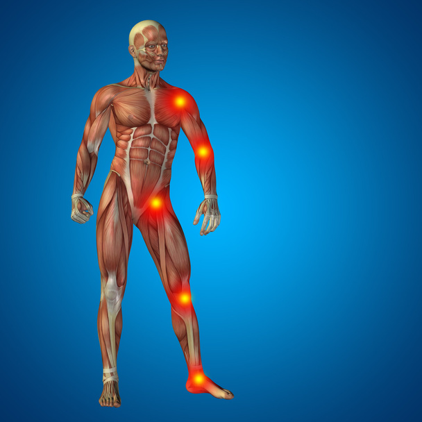 Menselijke of man met spieren - Foto, afbeelding