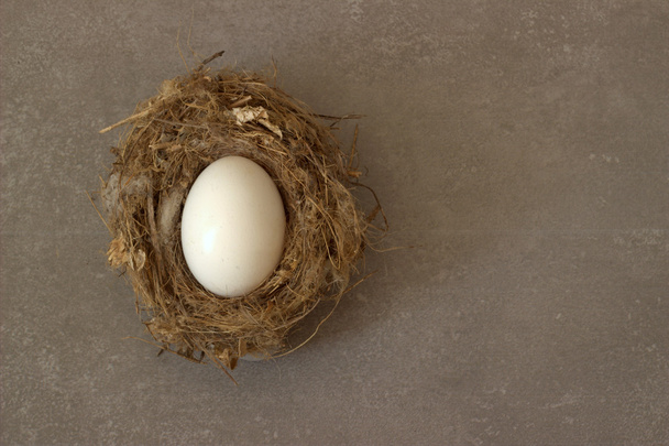 Background. egg in a nest. - Foto, afbeelding