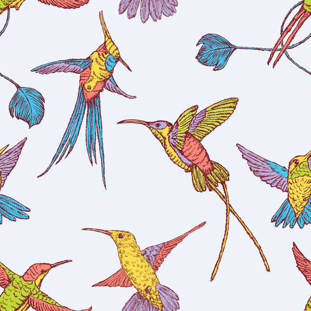 flying  hummingbirds pattern - Vector, Image