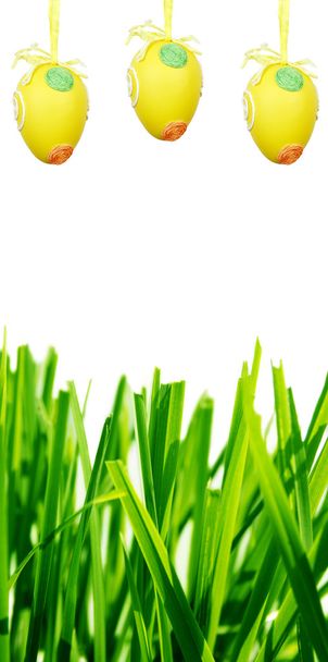 Paaseieren en groen gras - Foto, afbeelding