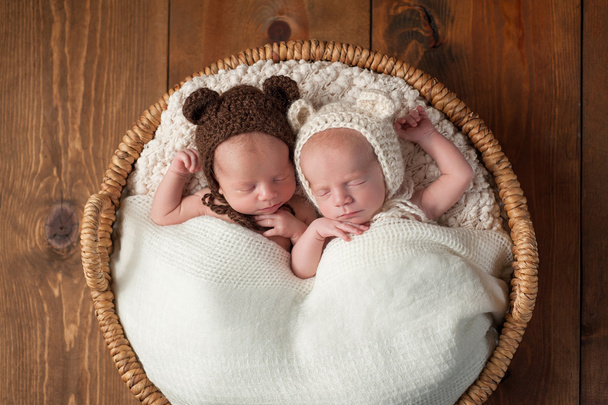 Twin Baby Boys vestindo bonés de urso
 - Foto, Imagem