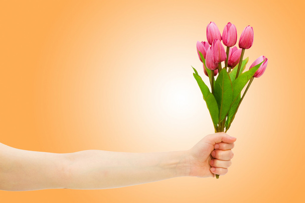 Hand mit Tulpen auf Gefälle - Foto, Bild