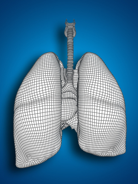 Sistema respiratorio de malla
 - Foto, imagen