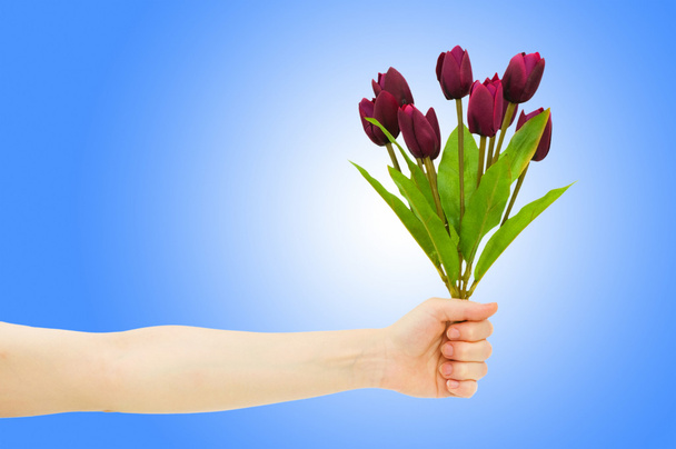 Mão com tulipas em gradiente
 - Foto, Imagem