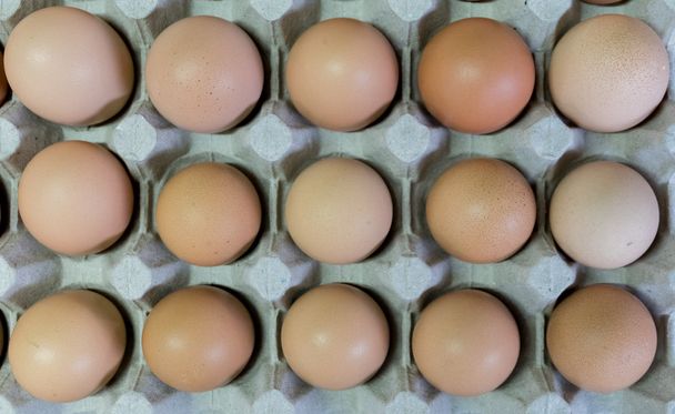 Eggs,Selected focus - Foto, Bild
