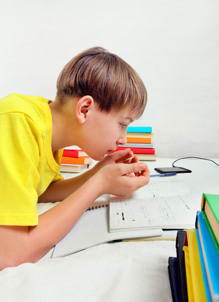 Kid doing Homework - Valokuva, kuva