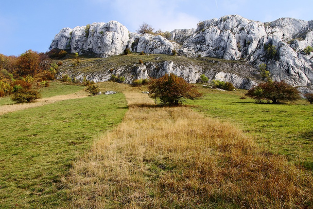 Chalky white rock in palava czech republic - Photo, Image