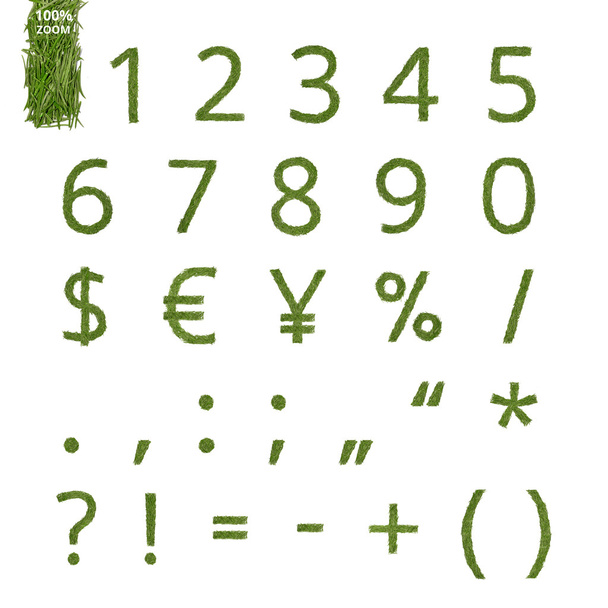 Pine naald nummers en merken - Foto, afbeelding
