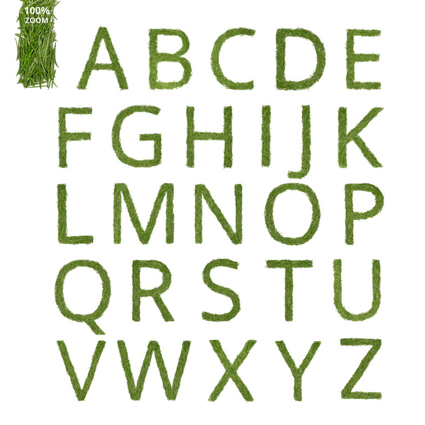 Çam iğne İngilizce alfabe - Fotoğraf, Görsel