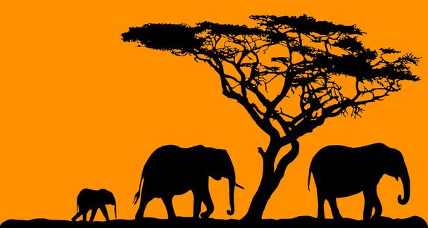Three elephants and a tree on sunset background - Vector, Image