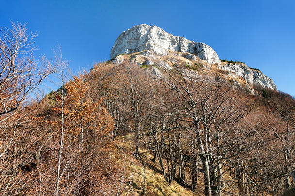 mount Klak, autumnal view from Mala Fatra mountains - Fotó, kép