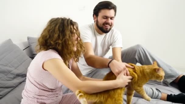 casal na cama acariciando um gato de gengibre câmera lenta
 - Filmagem, Vídeo